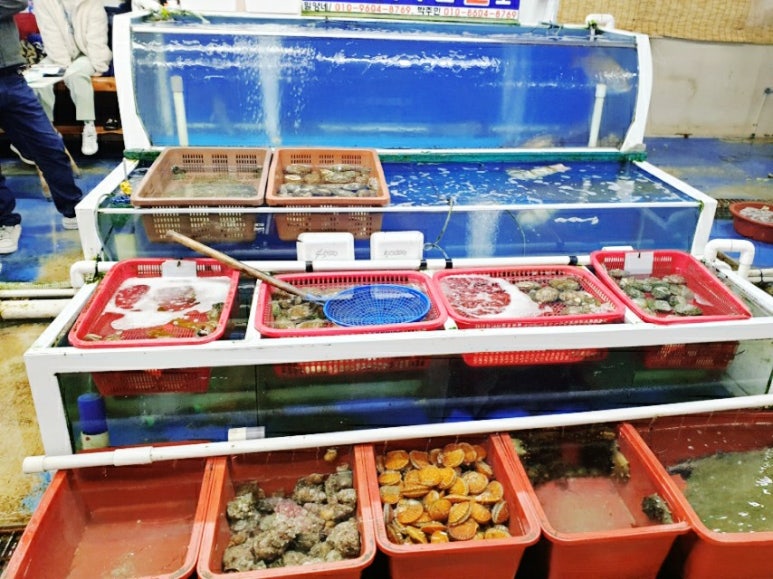 덕우수산 이미지