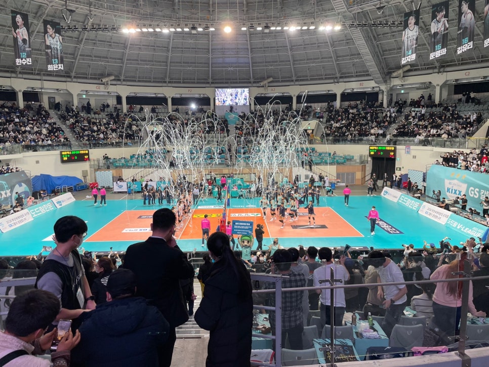 볼사이팅 이미지