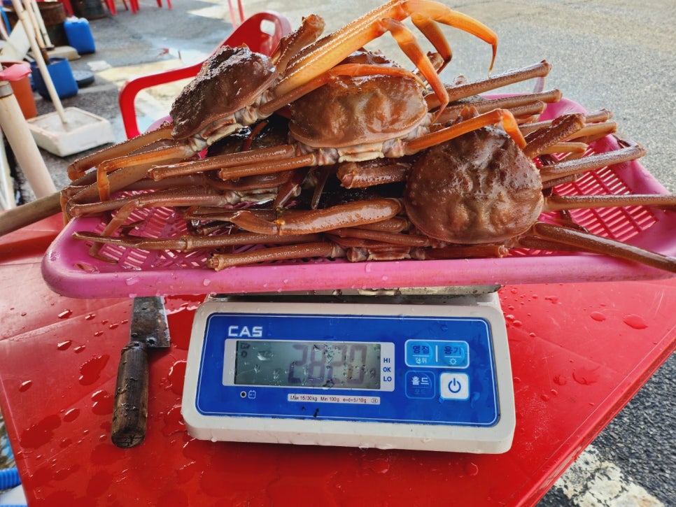 죽변놀부수산 이미지