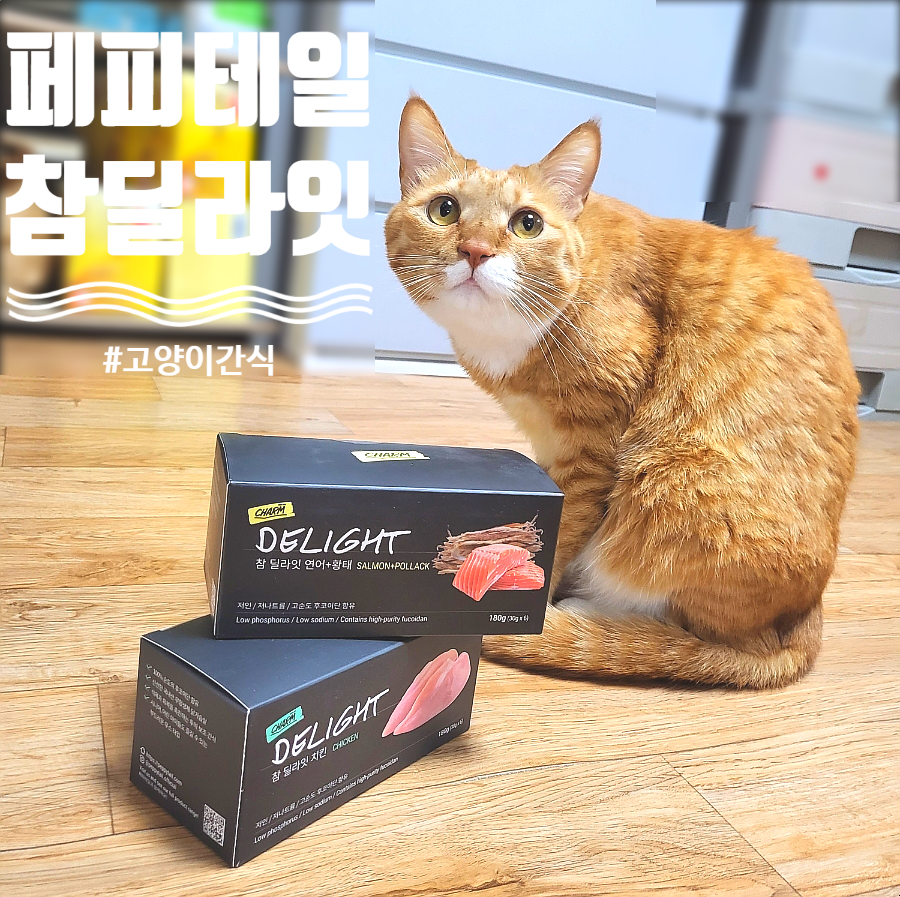 무스테일 이미지