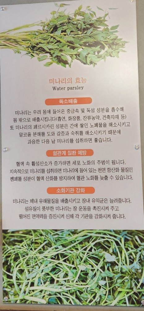 등촌샤브칼국수양재매헌점 이미지
