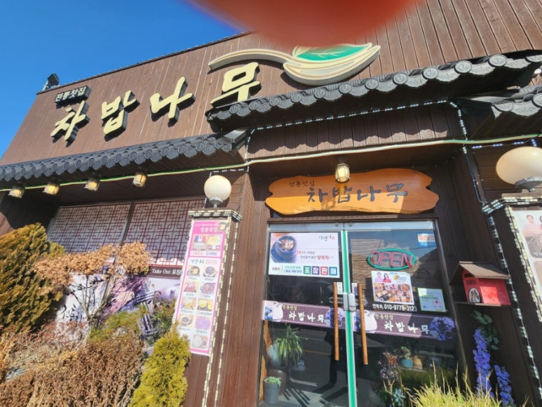 차밥나무 이미지
