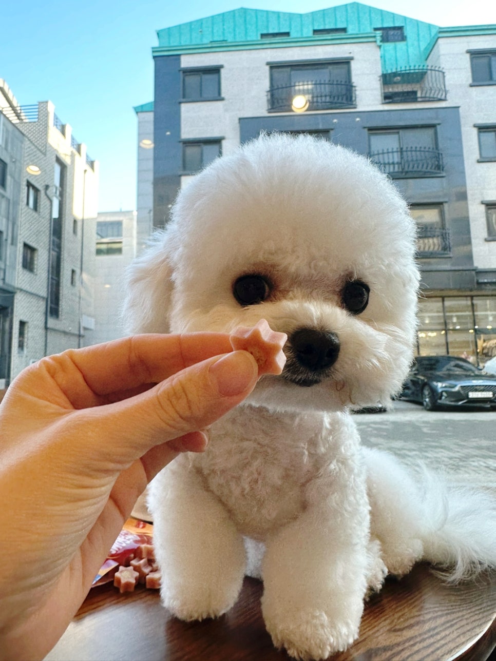 어썸프레시 이미지