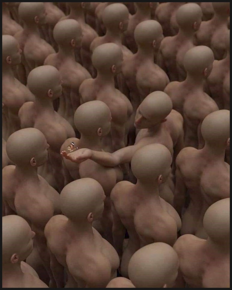 부활장의사 이미지