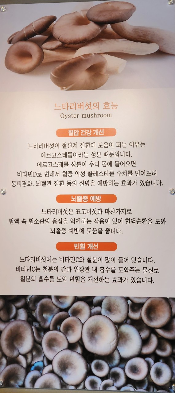 등촌샤브칼국수양재매헌점 이미지