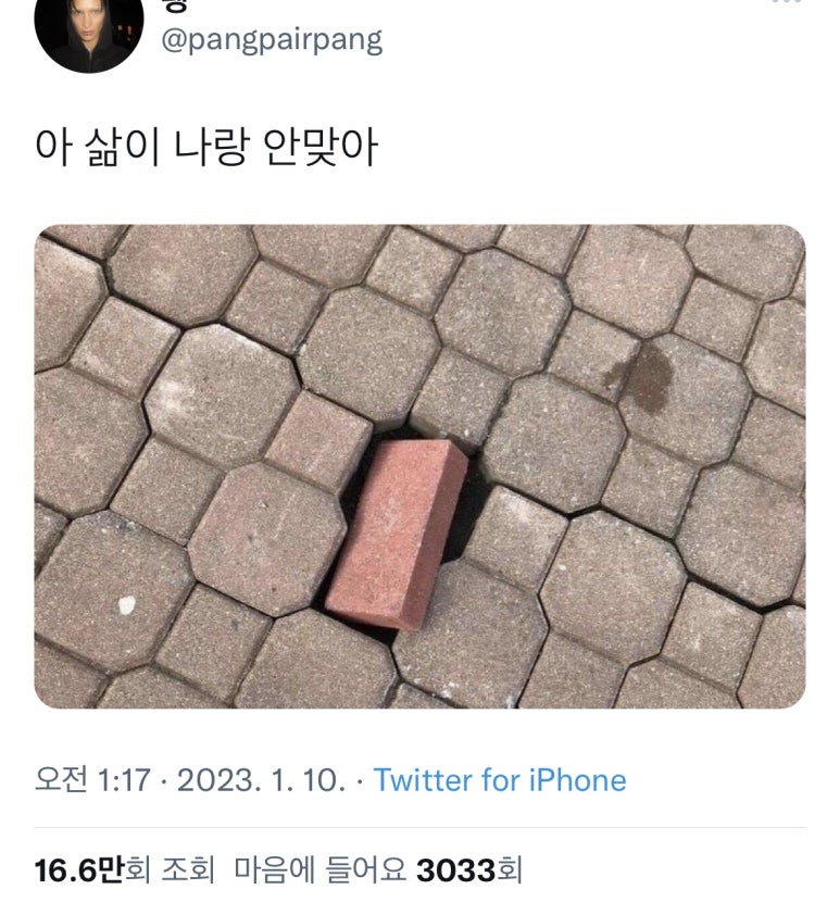 황금대박점 이미지