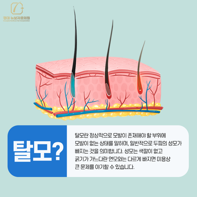 경대뉴보자르의원 이미지