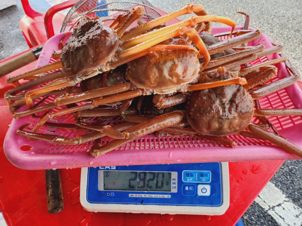 죽변놀부수산 이미지