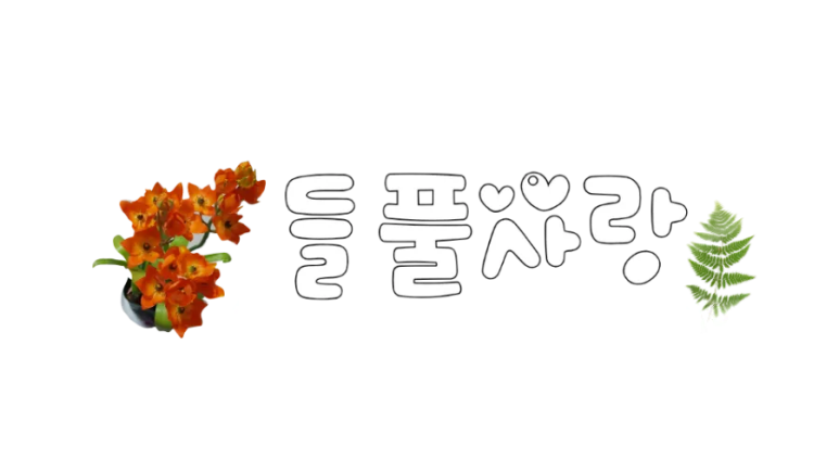 오!바 이미지