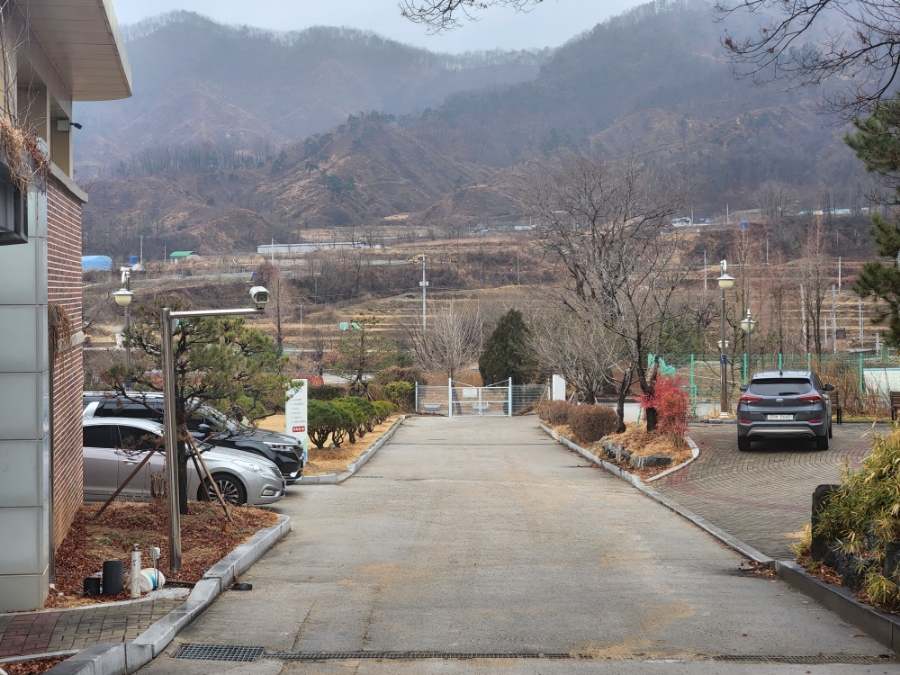 춤새마을 이미지