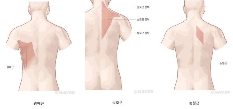 힙짐 이미지