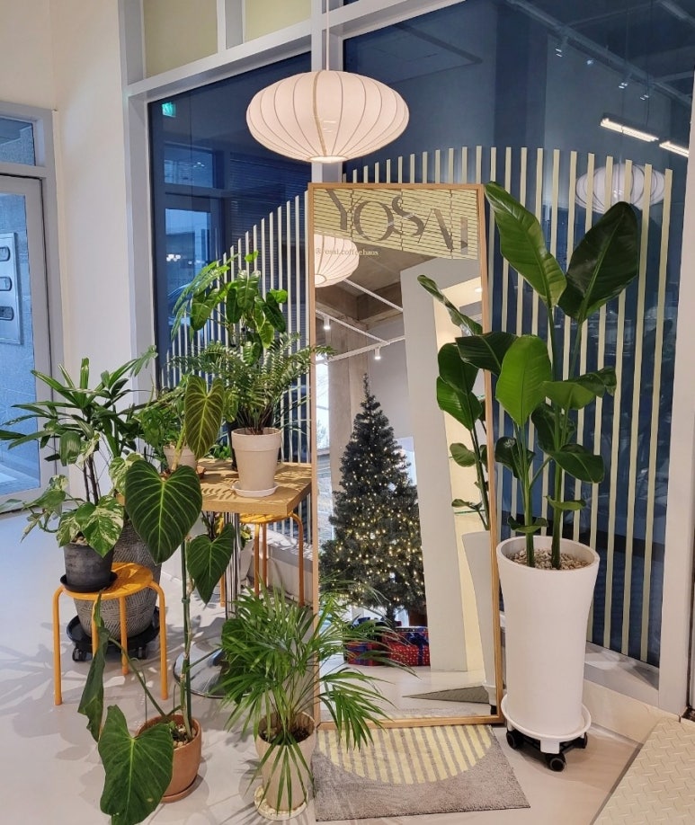 상록수패션 이미지