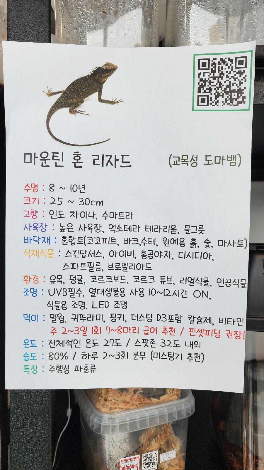 파블박사 이미지