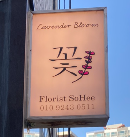 라벤더블룸 이미지