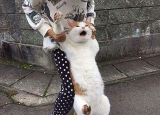 (주)제이오 이미지