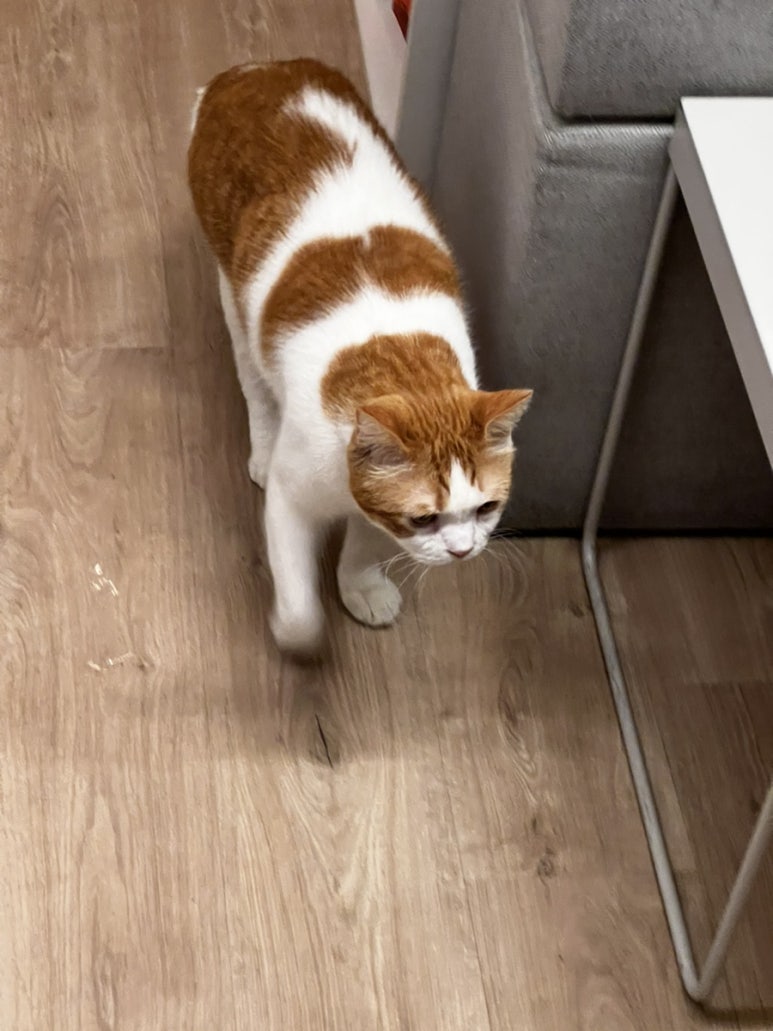 MUNE(무네) 이미지
