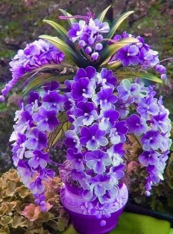 정인유통 이미지