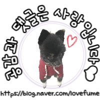 딸만셋이예요 이미지