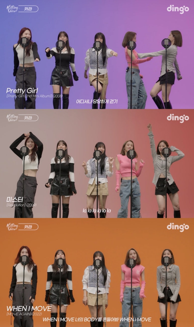 카라뷰 이미지