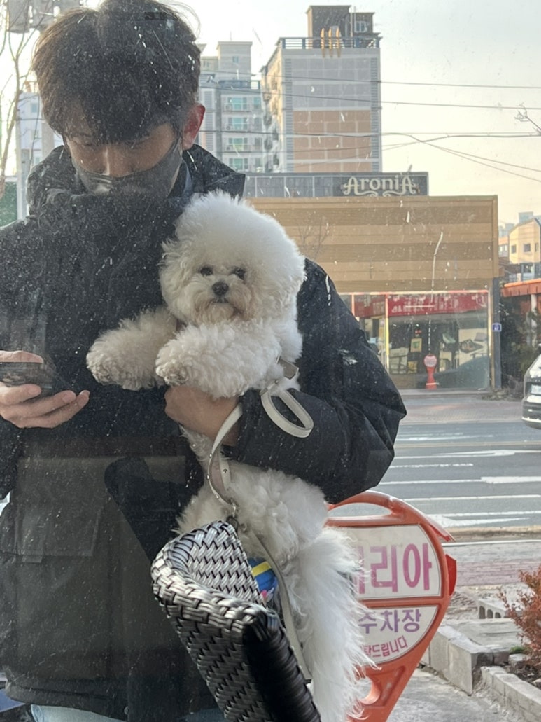 롯데리아포항 이미지