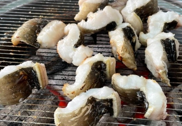 조선장어 이미지