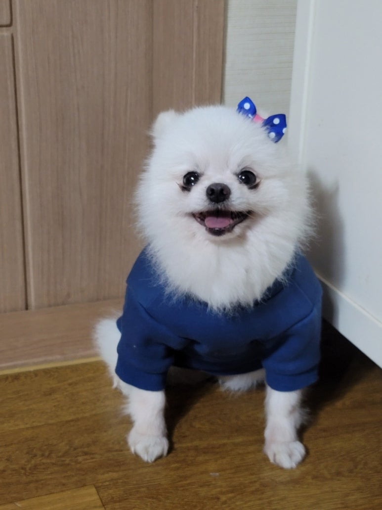 제일농약사 이미지