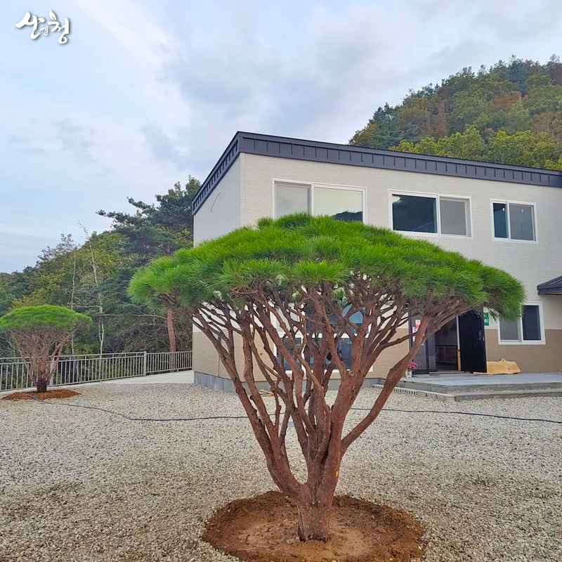 지리산약초관광농원 이미지