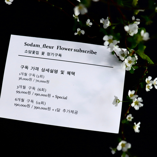 소담꽃 이미지
