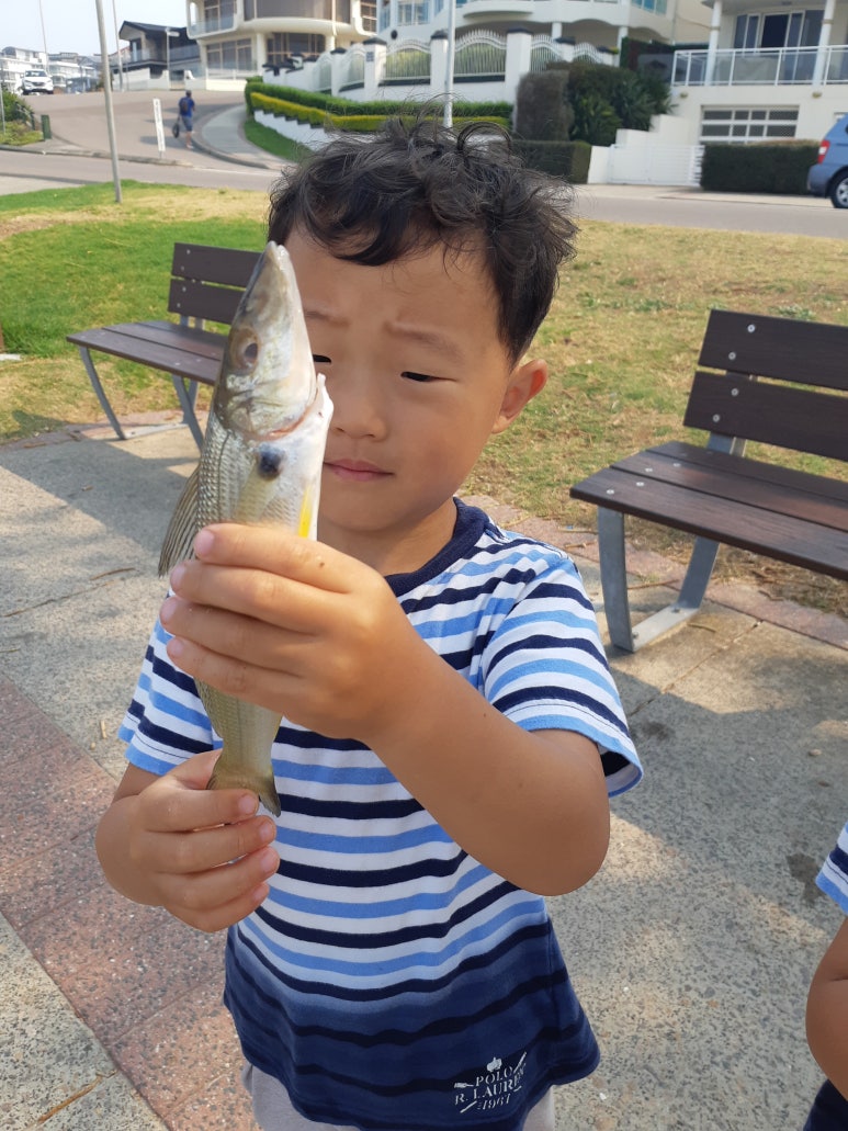The 하루만 캠핑장 이미지