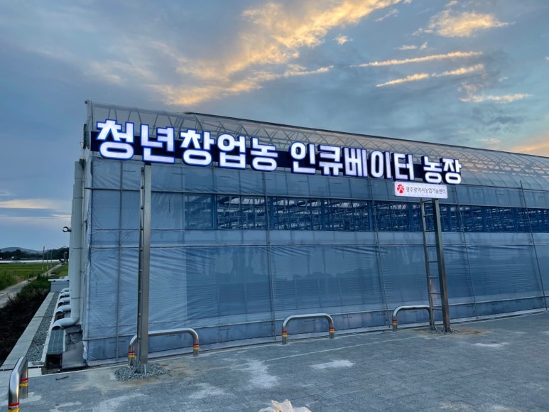 청년농장 이미지