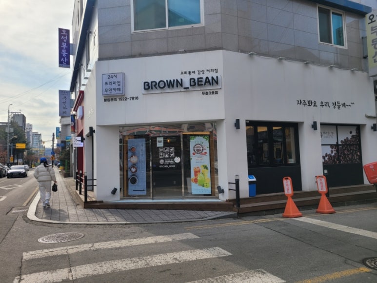 브라운빈두정 이미지