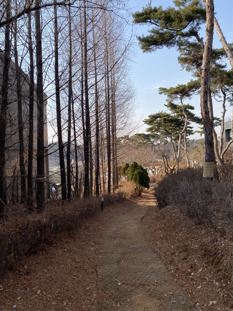 그림픽쳐스 이미지