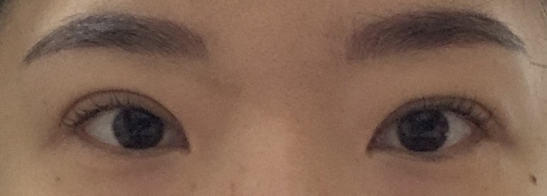 비비브로우 이미지
