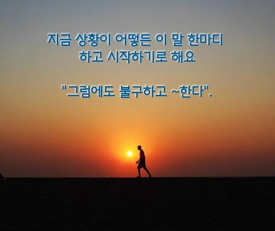 더샵짱 이미지