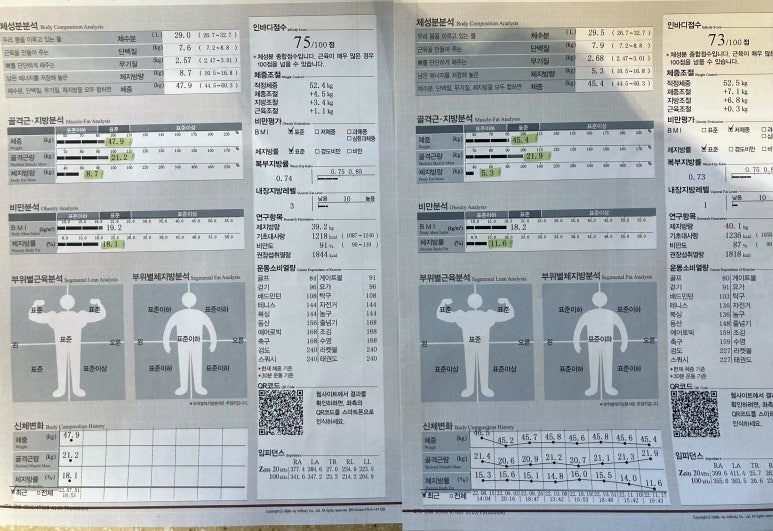 피트니스다이브 이미지