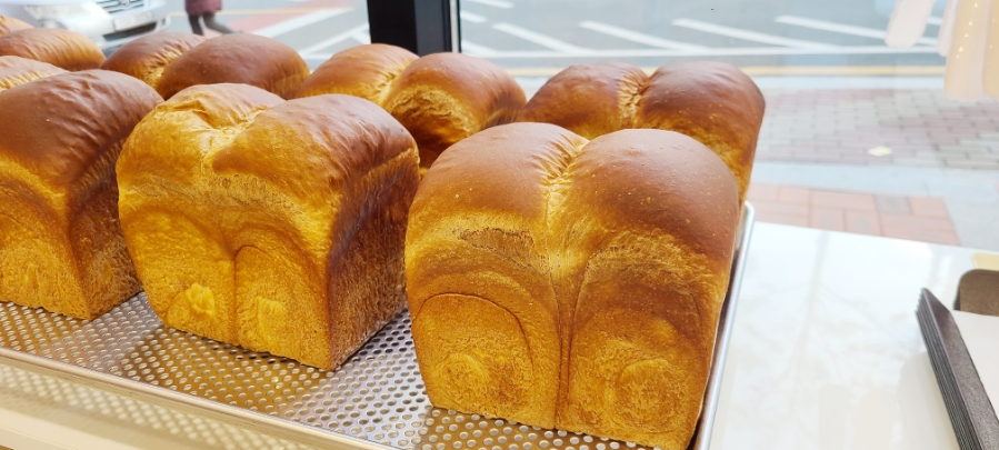 빵진남 이미지