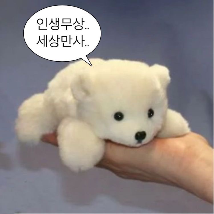 참치본가 이미지