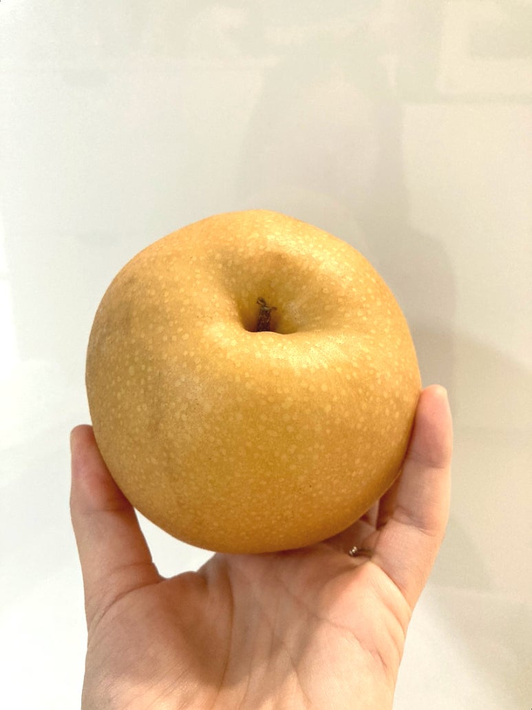 프리미어 농짱 이미지