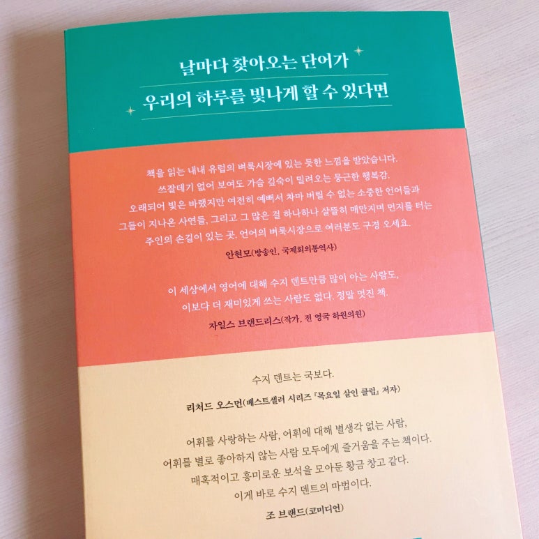 덴트천재 이미지