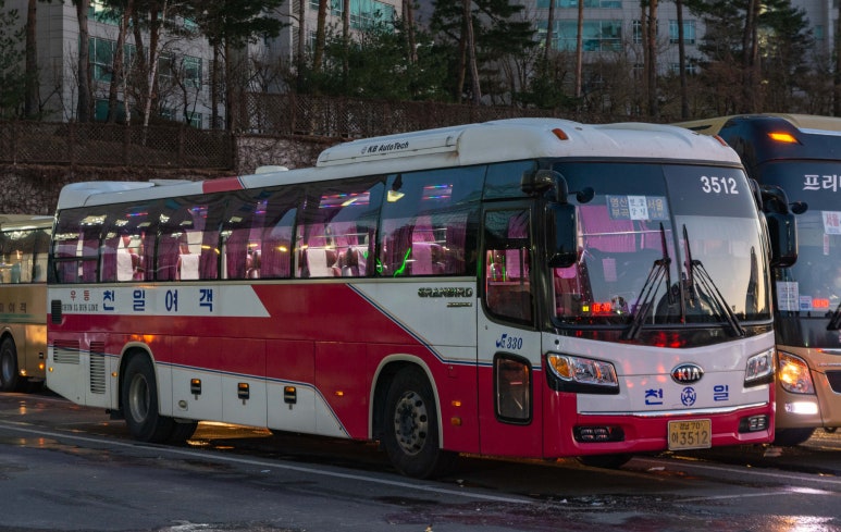 천일관광여행사 이미지