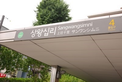 서울껍데기 이미지