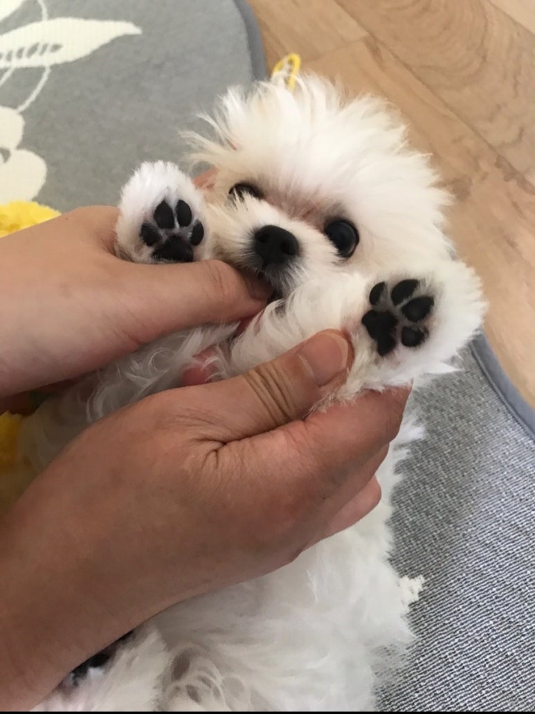 박가네커피 이미지