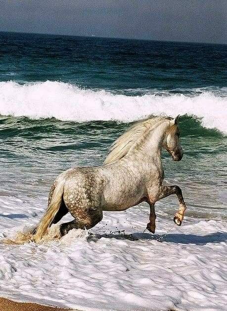 대하마트 이미지