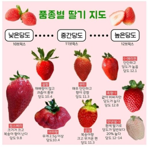 하얀딸기 이미지