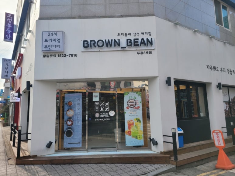 브라운빈두정 이미지