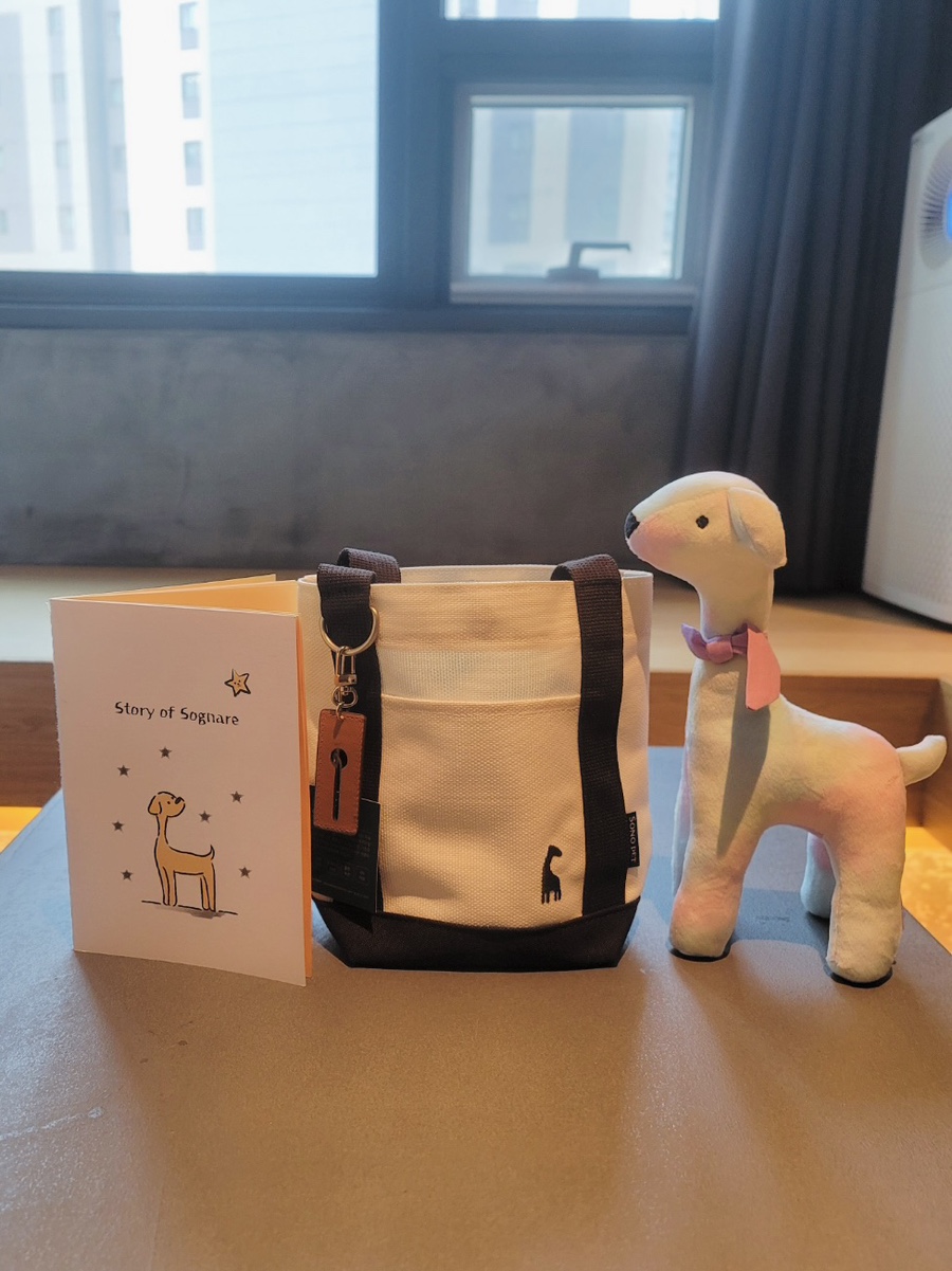 소노캄 고양 애견동반 호텔, 강아지와 펫캉스 즐기기 — 사진 19
