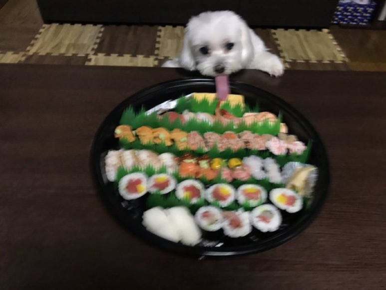 새첩당 이미지