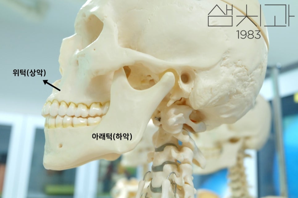 이고치과의원 이미지
