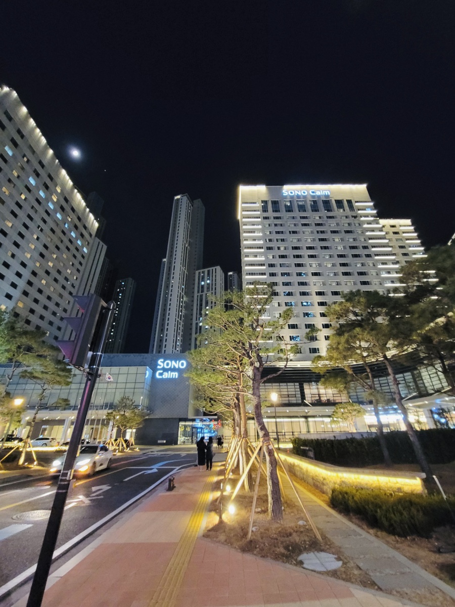 소노캄 고양 애견동반 호텔, 강아지와 펫캉스 즐기기 — 사진 2