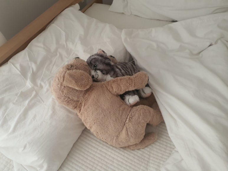 하나네 이미지